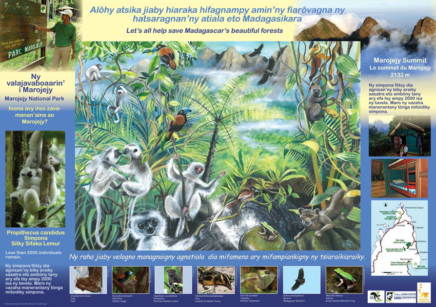 Poster illustrating the wildlife of Marojejy National Park, Madagascar